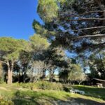 RAMATUELLE - A vendre propriété à rénover au coeur de la pinède ...